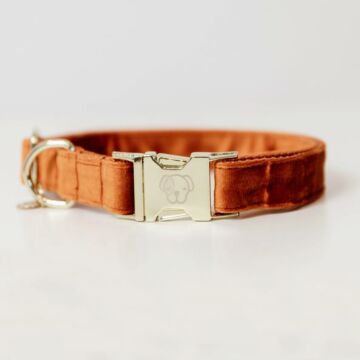 Halsband Kentucky Velvet orange