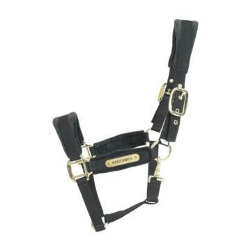 Halfter Kentucky Velvet schwarz