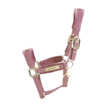 Halfter Kentucky Velvet rosa