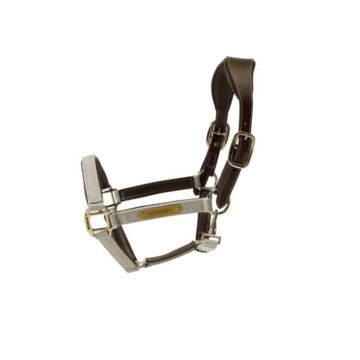 Halfter Kentucky Nylon Anatomic braun