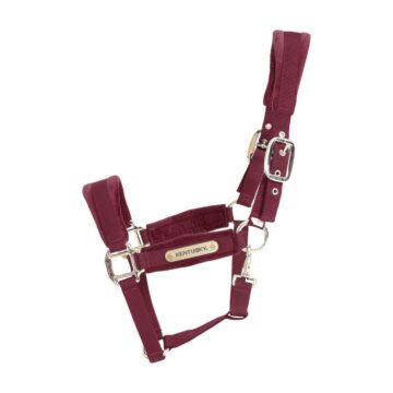 Halfter Kentucky Velvet Bordeaux 
