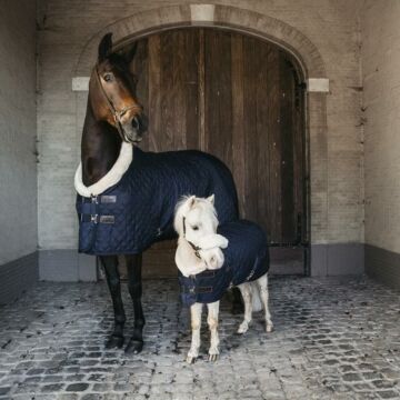Showdecke Kentucky 160 gramm Navy