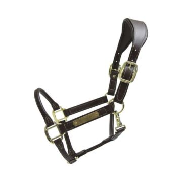 Halfter Kentucky Anatomic Leather braun