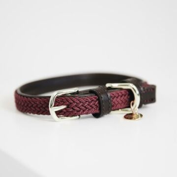 Halsband Kentucky Nylon rot