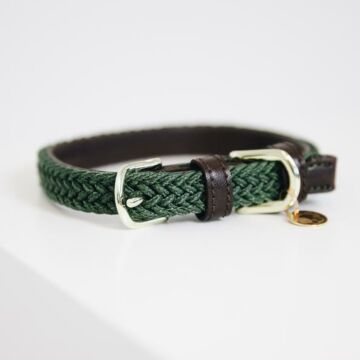Halsband Kentucky Nylon grün
