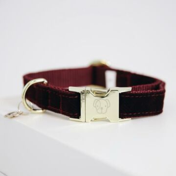 Halsband Kentucky Corduroy rot