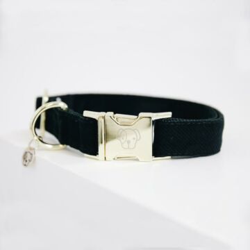 Halsband Kentucky Corduroy grün
