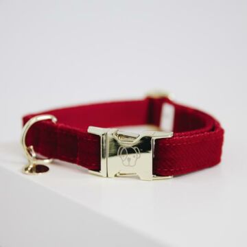Halsband Kentucky Corduroy rot