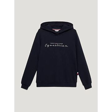 Hoodie Tommy Hilfiger Greenwich Desert Sky
