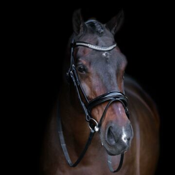 Trensezaume Imperial Riding met engelse neusband Black Crystal