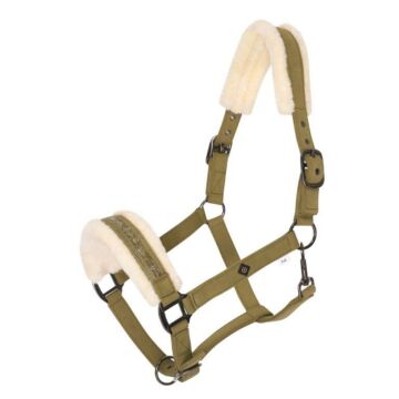 Halfter Imperial Riding Jewel Olive Green