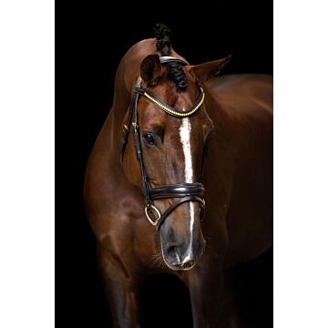 Trensenzäume Imperial Riding Einfacher kombinierter NasenGürtelen Brown