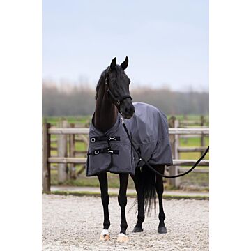 Outdoordecke Imperial Riding Limited 200gr mit Hals Grey