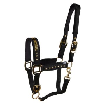 Halfter Imperial Riding Devil Schwarz