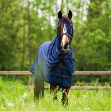 Fliegedecke Imperial Riding Reese Navy Fliegedecke Imperial Riding Reese Navy