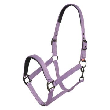 Halfter Imperial Riding Classic Sport Amethist 