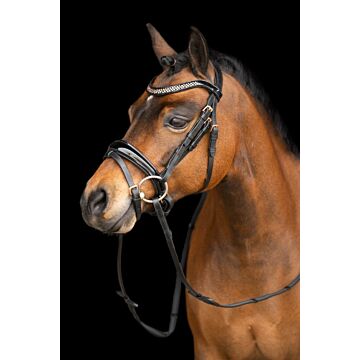 Trensenzäume Imperial Riding Petit Black Rose 