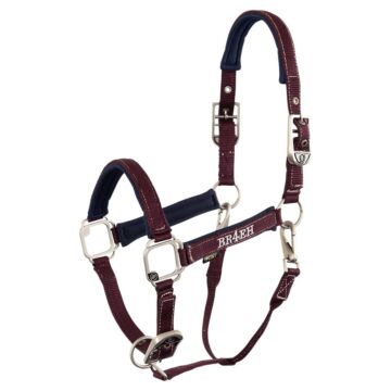 Halfter BR4EH Angel Grape wine
