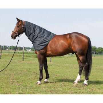 Halsstück Harry's Horse Thor 600D Ebony