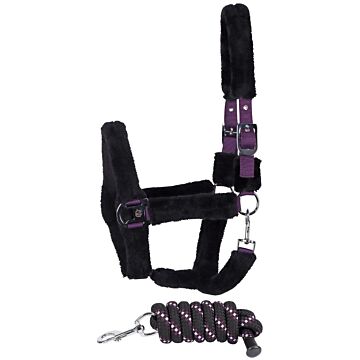 Halfter-set Harry's Horse Reine Jet black