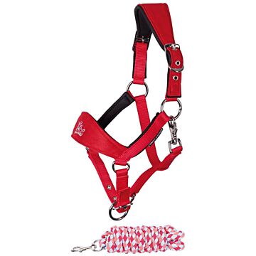 Halfter-set Harry's Horse Diva Stella Fuchsia