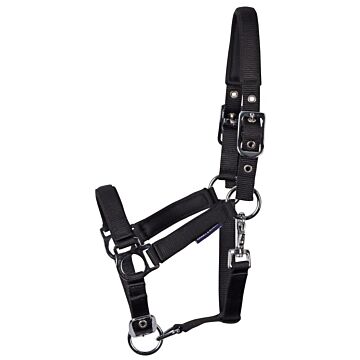 Halfter veulen Harry's Horse Padded Schwarz Halfter veulen Harry's Horse Padded Schwarz