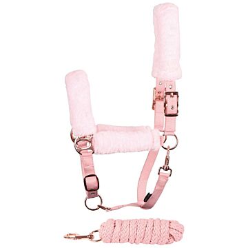 Halfter-set Harry's Horse Jochberg Silver Pink