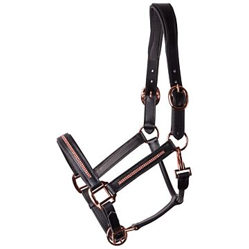 Halfter Harry's Horse Leder Metallic Schwarz-Rosegold 