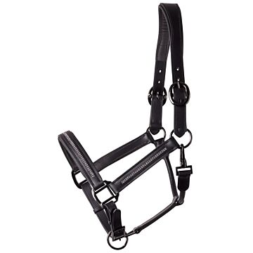 Halfter Harry's Horse Leder Metallic Schwarz-Gunmetal