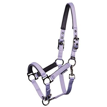 Fohlenhalfter Harry's Horse Pepper Persian-Violet