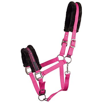 Halfter Harry's Horse Lyrics Quotes Fuchsia