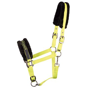Halfter Harry's Horse Lyrics Quotes Lime