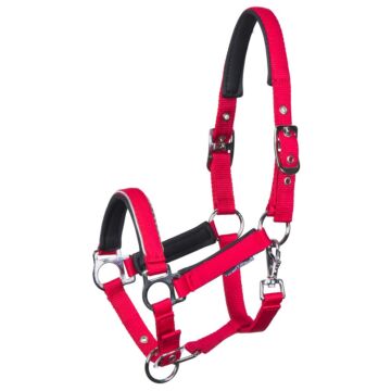 Föhlenhalfter Harry's Horse Metal Barberry