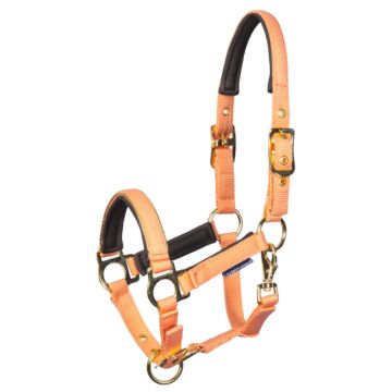 Föhlenhalfter Harry's Horse Metal Cadmium Orange