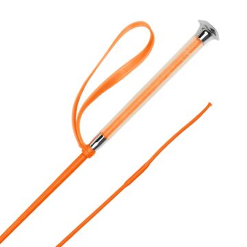 Peitschen Harry's Horse Colour Coral