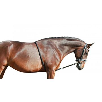 QHP Longierhilfe Lime 
