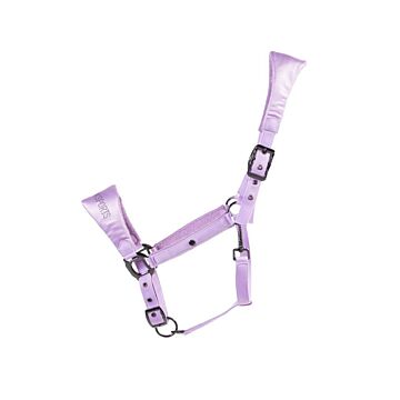 Halfter QHP Gloss Sweet grape