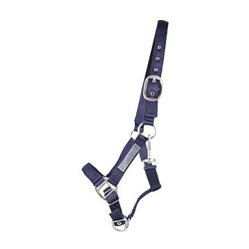 Halfter QHP Gevoerd Blau