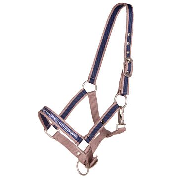 Halfter QHP Veulen collection Almond 
