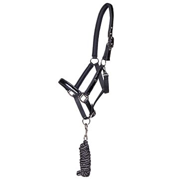 Halfter-Set QHP Djune Schwarz Halfter-Set QHP Djune Schwarz