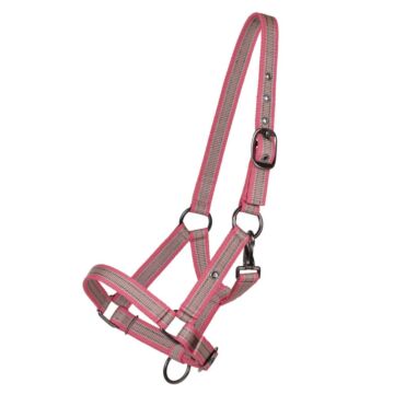 Fohlenhalfter QHP collection Flamingo 