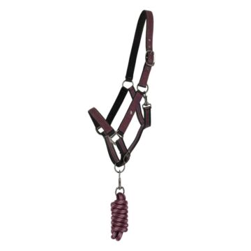 Halfter-set QHP Turnout Collection Wine Red
