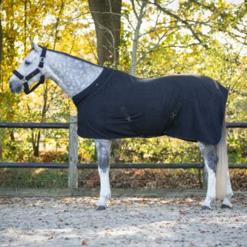 Showdecke QHP Zahra Black