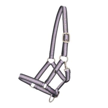 Halfter QHP Collection Veulen Lavender haze