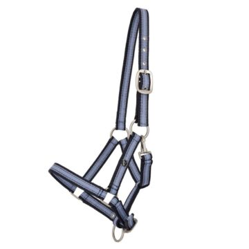 Halfter QHP Collection Veulen Misty blue