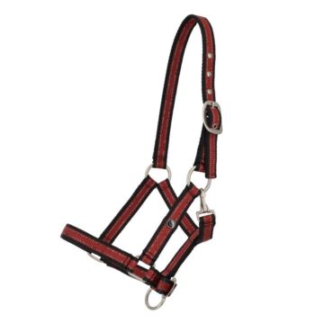 Halfter QHP Collection Veulen Sunset red