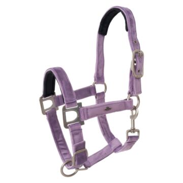 Halfter HV Polo Classic Soft Violet
