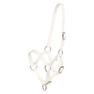Fohlenhalfter HV Polo Nena White