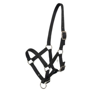 Fohlenhalfter HV Polo Nena Black