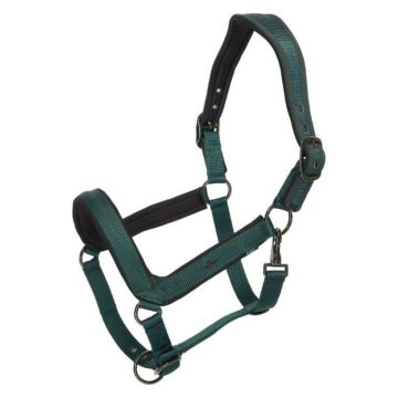 Halfter HV Polo Essential Duck Green